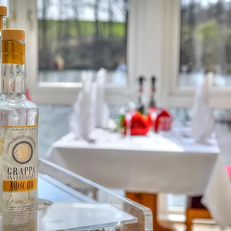 Hotel-restaurant-gondelfahrt Hotel Oppach