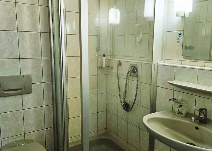 Hotel-restaurant-gondelfahrt Hotel Oppach